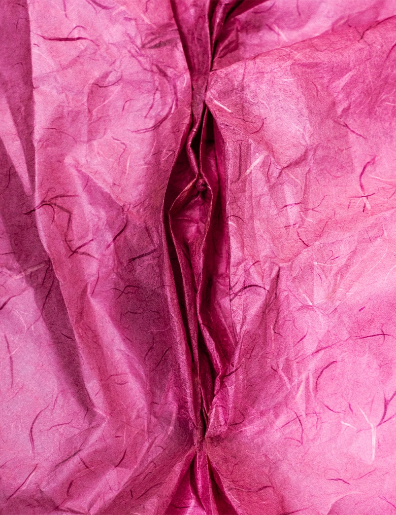 Intensywnie różowa pomięta bibuła ułożona jest w fałdki przypominające wargi sromowe.